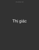 Bài giảng Thị giác