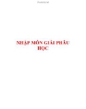 Bài giảng Nhập môn giải phẫu học