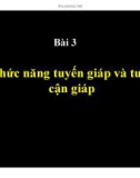 Bài giảng Bài 3: Chức năng tuyến giáp và tuyến cận giáp