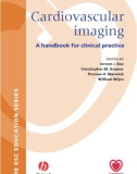 Cardiovascular Imaging A handbook for clinical practice - Part 1