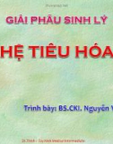 Bài giảng Giải phẫu sinh lý: Hệ tiêu hóa - BS.CKI. Nguyễn Văn Thịnh