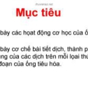 Bài giảng Sinh lý hệ tiêu hóa - ThS.BS. Nguyễn Hồng Hà (ĐH Y dược Cần Thơ)