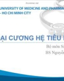 Bài giảng Đại cương hệ tiêu hóa