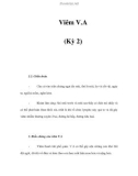 Viêm V.A (Kỳ 2)