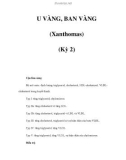 U VÀNG, BAN VÀNG (Xanthomas) (Kỳ 2)