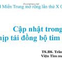 Bài giảng Cập nhật trong tạo nhịp tái đồng bộ tim (CRT) - TS.BS. Trần Song Giang