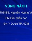 Bài giảng Giải phẫu học: Vùng nách - ThS.BS. Nguyễn Hoàng Vũ