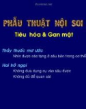 TỔNG QUAN PHẪU THUẬT NỘI SOI Ổ BỤNG