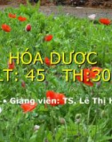 Bài giảng Hóa dược - TS. Lê Thị Hải Yến