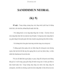 SANDIMMUN NEORAL (Kỳ 5)