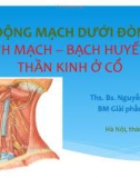 Bài giảng Giải phẫu: Động mạch dưới đòn tĩnh mạch–bạch huyết–thần kinh ở cổ - THS.BS. Nguyễn Ngọc Ánh