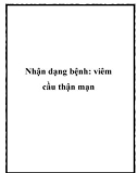 Nhận dạng bệnh: viêm cầu thận mạn