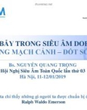 Bài giảng Cạm bẫy trong siêu âm Doppler động mạch cảnh đốt sống - BS. Nguyễn Quang Trọng