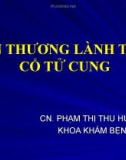 Bài giảng Tổn thương lành tính cổ tử cung - CN. Phạm Thị Thu Hương