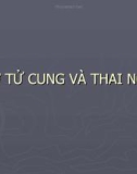 Bài giảng U xơ tử cung và thai nghén