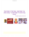 Dịch bệnh ở Việt Nam - dịch bệnh 'tay chân miệng' và dịch bệnh 'lở mồm long móng'