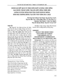 Đánh giá kết quả và theo dõi chất lượng cuộc sống sau phẫu thuật điều trị lún đốt sống trên nền loãng xương bằng phương pháp bơm xi măng sinh học không bóng tại Cần Thơ năm 2021-2022