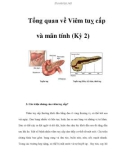 Tổng quan về Viêm tuỵ cấp và mãn tính (Kỳ 2)