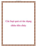 Các loại quả có tác dụng chữa tiêu chảy