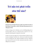 Trí não trẻ phát triển như thế nào