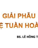 Bài giảng Giải phẫu hệ tuần hoàn - Lê Hồng Thịnh