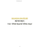 Bài giảng chuyên đề Bệnh học: Tắc tĩnh mạch võng mạc