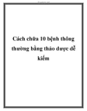 Cách chữa 10 bệnh thông thường bằng thảo dược dễ kiếm