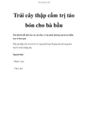 Trái cây thập cẩm trị táo bón cho bà bầu