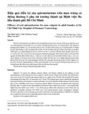 Hiệu quả điều trị của spironolactone trên mụn trứng cá thông thường ở phụ nữ trưởng thành tại Bệnh viện Da liễu thành phố Hồ Chí Minh