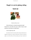 Magiê và vai trò phòng chống bệnh tật