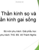 Bài giảng Thần kinh sọ và thần kinh gai sống - ThS. BS. Võ Thành Nghĩa