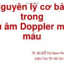 Bài giảng Nguyên lý cơ bản trong siêu âm doppler mạch máu