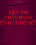 Bài giảng Siêu âm chẩn đoán bệnh lý hệ niệu