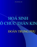 Bài giảng Hoá sinh Tổ chức thần kinh - Đoàn Trọng Phụ