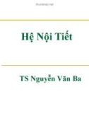 Bài giảng Hệ nội tiết - TS. Nguyễn Văn Ba