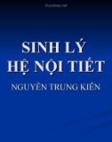 Bài giảng Sinh lý hệ nội tiết - Nguyễn Trung Kiên