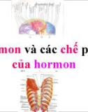 Bài giảng Dược lý học: Hormon và các chế phẩm của hormon