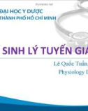 Bài giảng Sinh lý tuyến giáp - Lê Quốc Tuấn