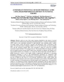 Antioxidant potential of eight phenolic acids using high-performance density functional theory