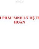 Bài giảng Giải phẫu sinh lý hệ tuần hoàn