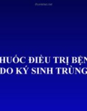 Bài giảng Thuốc điều trị bệnh do ký sinh trùng