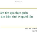 Bài giảng Siêu âm tim qua thực quản bệnh tim bẩm sinh ở người lớn - PGS.TS Phạm Nguyễn Vinh