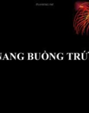 Bài giảng U nang buồng trứng