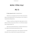 BONG VÕNG MẠC (Kỳ 2)