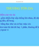 Bài giảng vẩy nến part 3