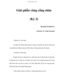 Giải phẫu vùng cẳng chân (Kỳ 3)