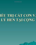 Bài giảng Điều trị cắt cơn và quản lý hen tại cộng đồng