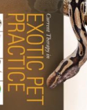 Ebook Current therapy in exotic pet practice: Part 1