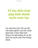 Tế bào thần kinh giúp hình thành tuyến nước bọt