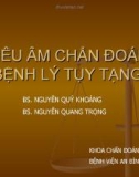 SIÊU ÂM CHẨN ĐOÁN BỆNH LÝ TỤY TẠNG